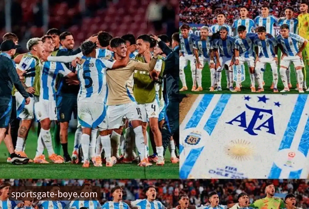 揭秘阿根廷锋线新星重伤背后：战术缺口与数据视角下的世界杯变数